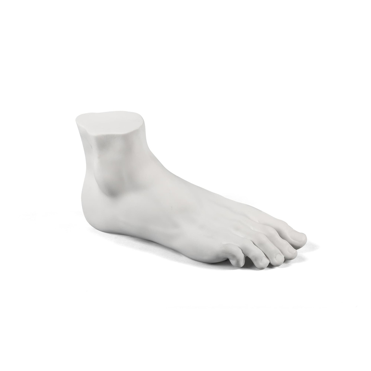 Seletti - MEMORABILIA MVSEVM - Piede Uomo
