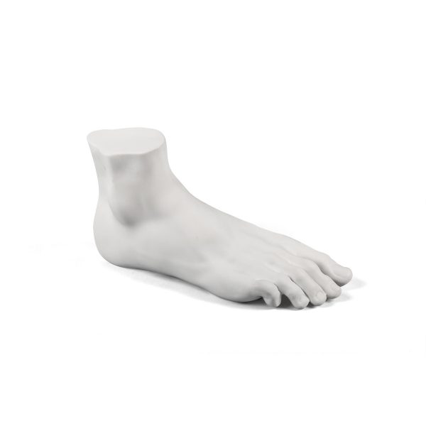 SELETTI Memorabilia Mvsevm Pied d'Homme