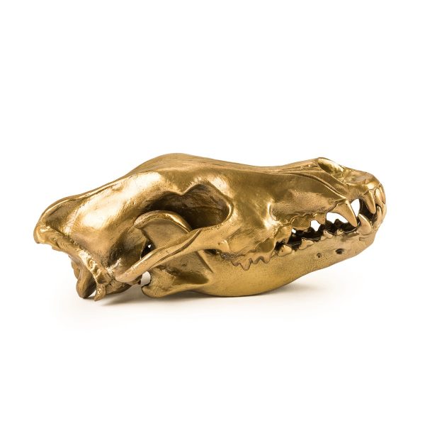 Seletti - Wunderkrammer Wolf Skull