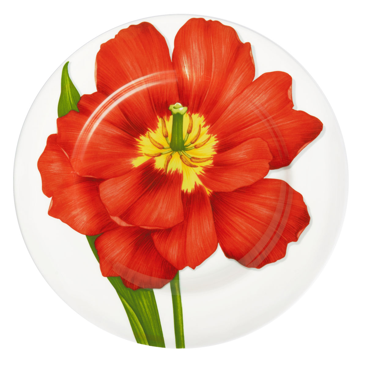 TAITÙ Freedom Assiettes Plates Mix 4 Pièces Fleur Rouge